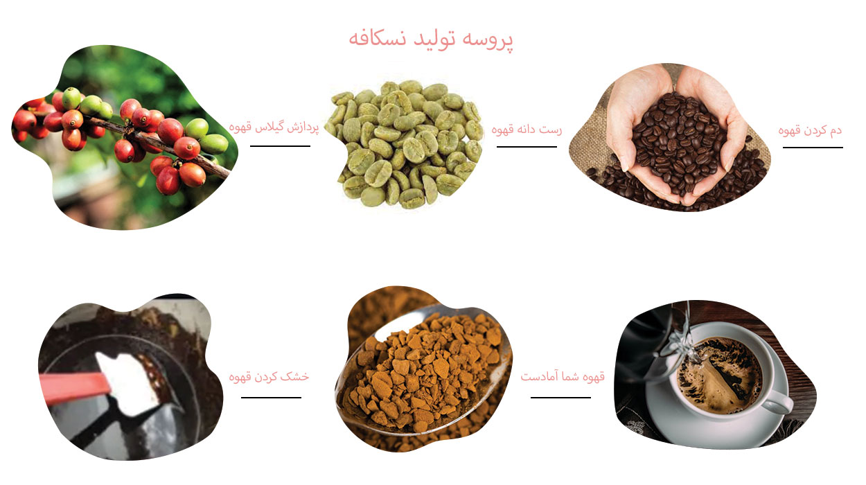 پروسه تولید بهترین نسکافه