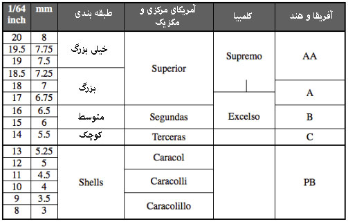 انواع درجه بندی قهوه بر اساس سایز