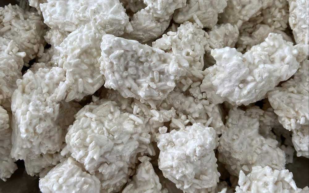 کپک کوجی