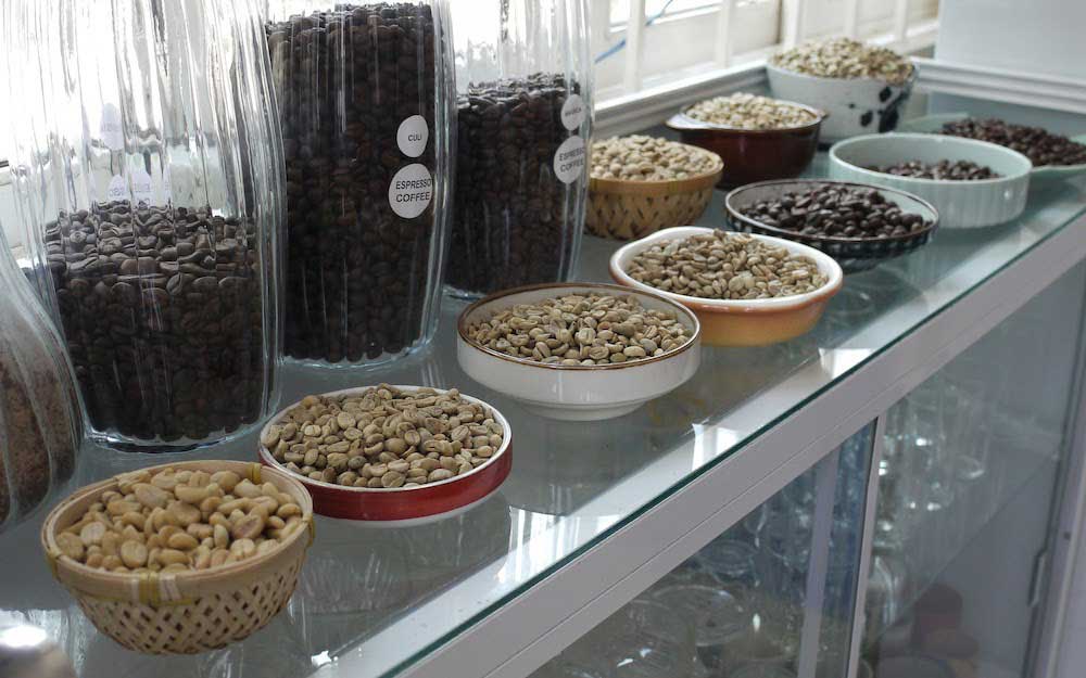 تنوع در دانه روبوستا